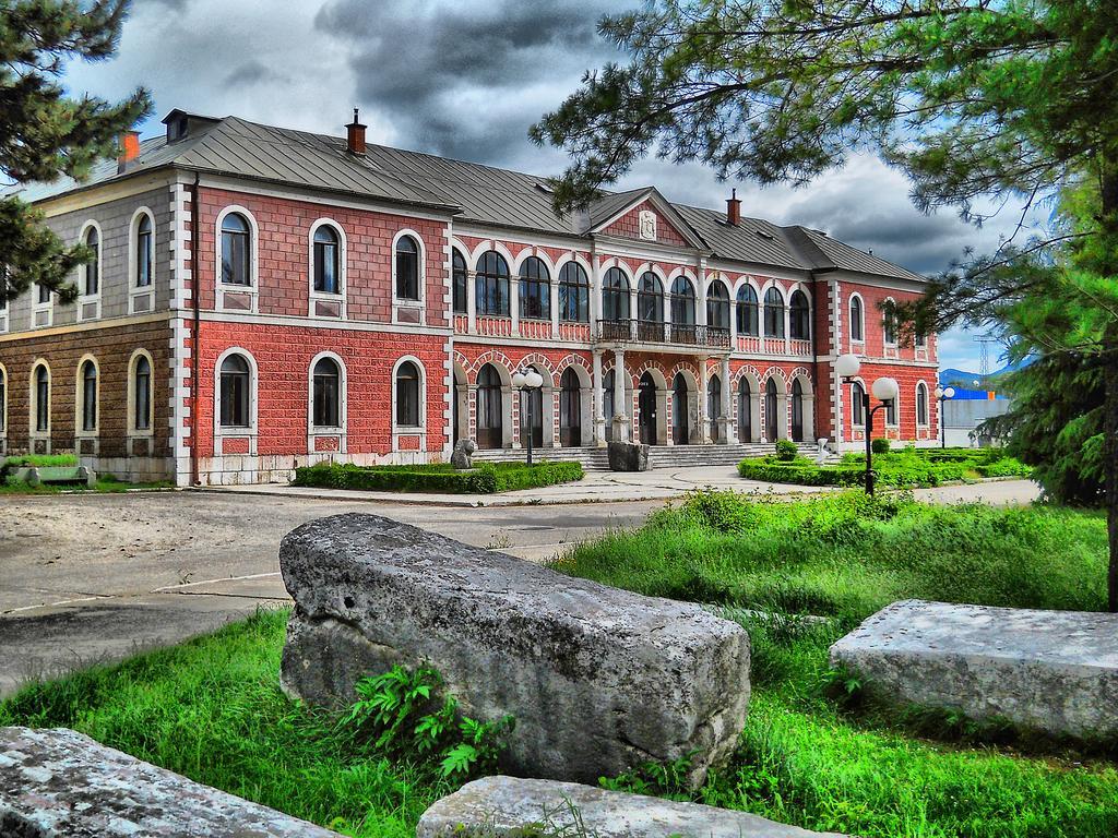 Apartments Dragovic Nikšić Buitenkant foto